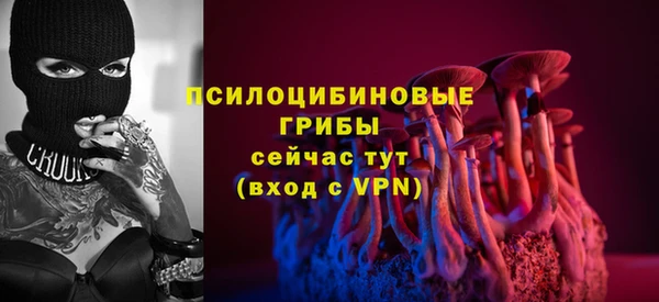 ГАЛЛЮЦИНОГЕННЫЕ ГРИБЫ Беломорск
