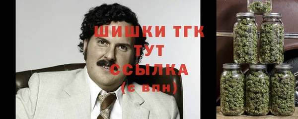 ГАЛЛЮЦИНОГЕННЫЕ ГРИБЫ Беломорск