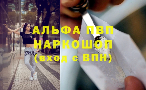 стаф Белоозёрский