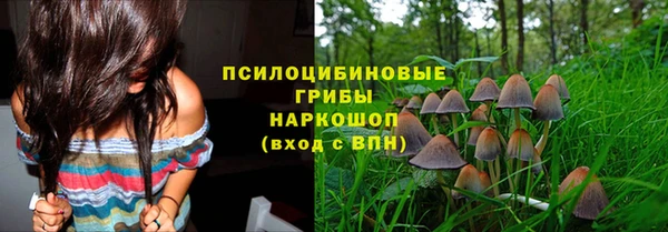 а пвп мука Белокуриха