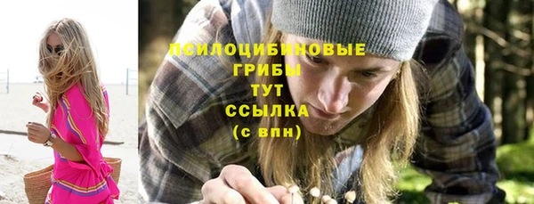 стаф Белоозёрский