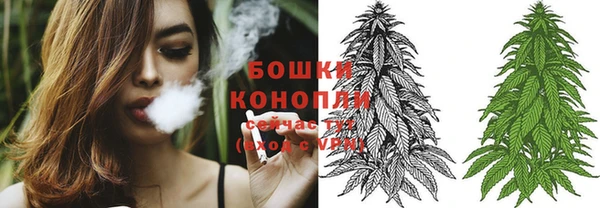 стаф Белоозёрский