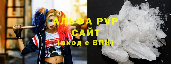 ГАЛЛЮЦИНОГЕННЫЕ ГРИБЫ Беломорск